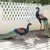 Modern Garden Decoration Peacock Statue Home Decor Metal Bird Sculpture Garden