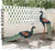 Modern Garden Decoration Peacock Statue Home Decor Metal Bird Sculpture Garden