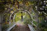 Grape Arbor Brick Path Garden Country Garden arch Trellis hallway backdrop  Computer print children kid background