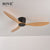 SOVE Low Floor Modern Ceiling Fans Without Light DC 30W Ceiling Fan With Remote Control Home Simple Ceiling Fan No Lights 220V