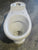 Garadon, Eng Whtie Toilet Pan 390H x 370W x 650D