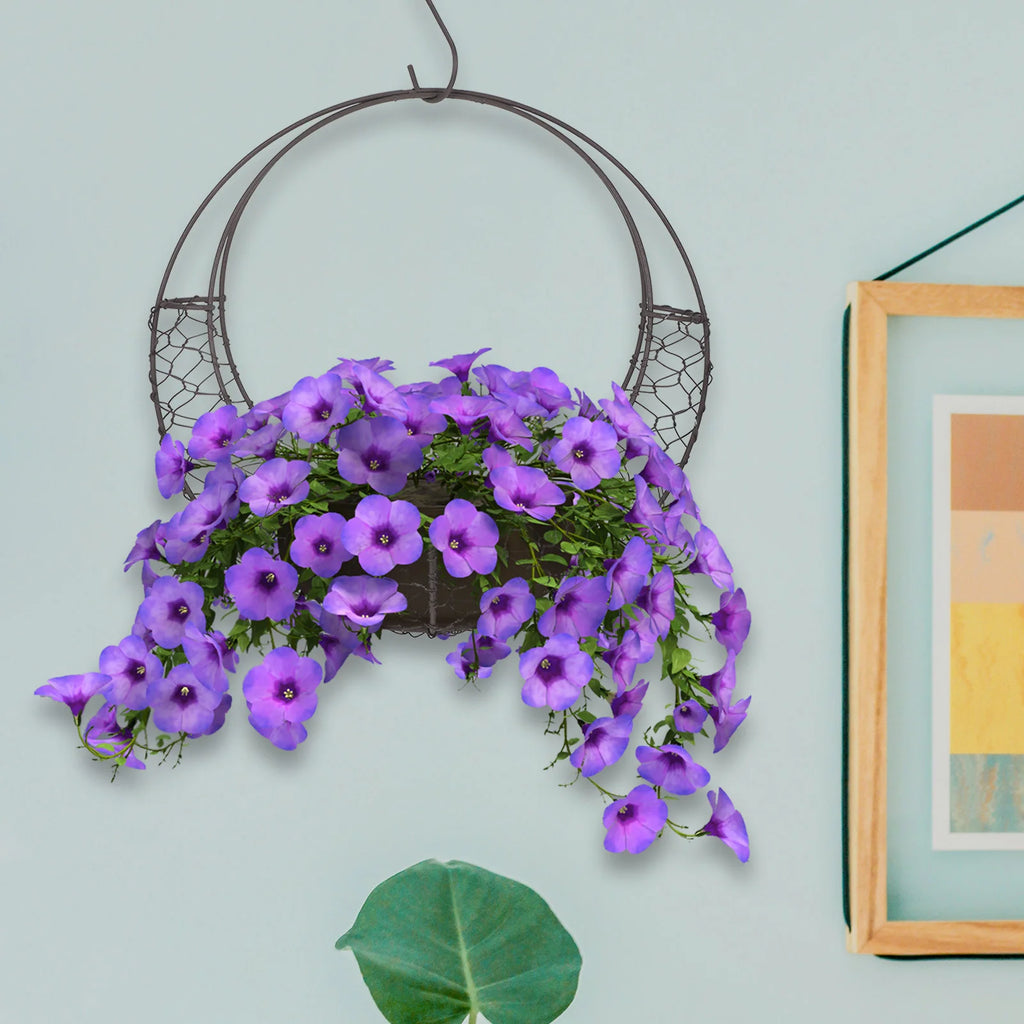 Planter Retro Decor Metal Frame Succulent Pot Hanging Basket Wire Moon Shape Iron Wreath Plants