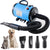 HONET PET High Power Low Noise Pet Water Blower Golden Hair Dryer Teddy Dog Hair Drying Box Large Dog News Cepillo Para Cabello