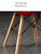 Dining chair Nordic chair