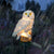 Solar light owl animal sculpture solar courtyard light solar LED outdoor garden decoration light waterproof