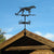 Black Dog (Pointer)Metal Weather Vane Standing Decor Roof Weathervane